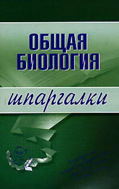 Е. Козлова Общая биология обложка книги