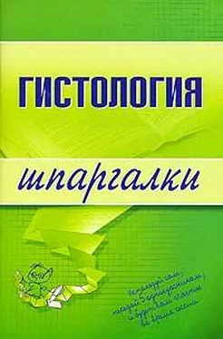 В. Барсуков Гистология обложка книги