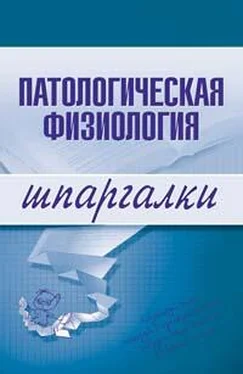 Т. Селезнева Патологическая физиология обложка книги