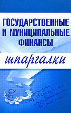 Мария Новикова Государственные и муниципальные финансы обложка книги