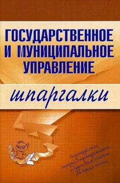 Константин Сибикеев Государственное и муниципальное управление обложка книги