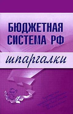 Наталья Бурханова Бюджетная система РФ обложка книги