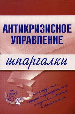 Олеся Бирюкова Антикризисное управление