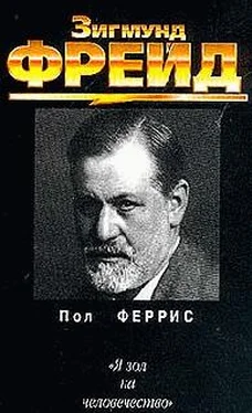 Пол Феррис Зигмунд Фрейд обложка книги