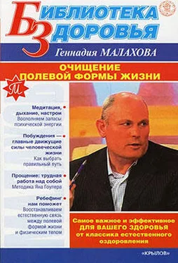 Геннадий Малахов Очищение полевой формы жизни обложка книги