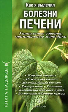 П. Аркадьев Как я вылечил болезни печени. Уникальные советы, оригинальные методики обложка книги