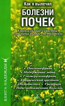 П. Аркадьев Как я вылечил болезни почек. Уникальные советы, оригинальные методики обложка книги