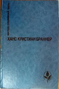 Ханс Браннер Избранное: Предисловие Э. Переслегиной обложка книги