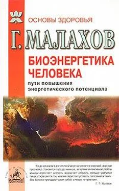 Геннадий Малахов Биоэнергетика человека: пути повышения энергетического потенциала обложка книги