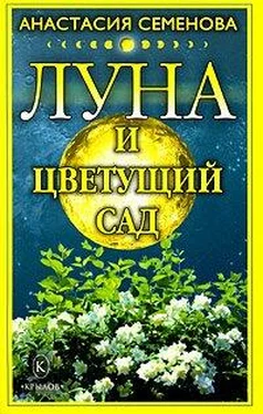 Анастасия Семенова Луна и цветущий сад обложка книги