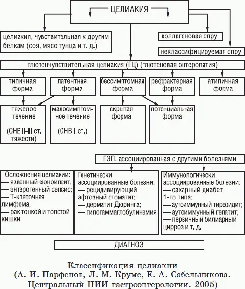 Стадия 2 гиперпластическая Эпителий крипт начинает подниматься на вершины - фото 1