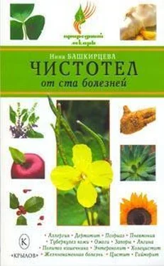 Нина Башкирцева Чистотел от ста болезней обложка книги