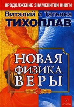 Виталий Тихоплав Новая Физика Веры обложка книги