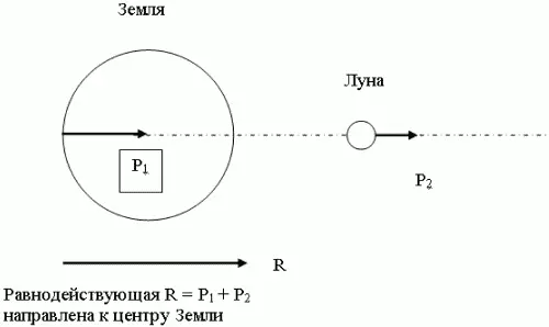 Рис 33 Собранные растения сушат таким образом чтобы на них не попадали - фото 33