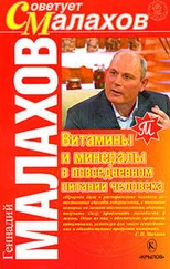 Геннадий Малахов - Витамины и минералы в повседневном питании человека