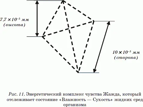 Кубрис 12 содержит шесть элементарных энергий чувств связанных с понятиями - фото 13