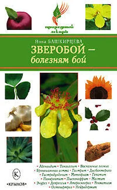 Нина Башкирцева Зверобой – болезням бой обложка книги