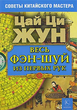 Цай Ци Жун Весь фэн-шуй из первых рук. Советы китайского мастера