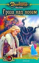 Елизавета Дворецкая - Ночь богов. Книга 1 - Гроза над полем