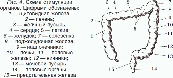Так вот толстый кишечник также имеет особую систему посредством которой - фото 4