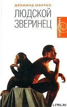 Десмонд Моррис Людской зверинец обложка книги