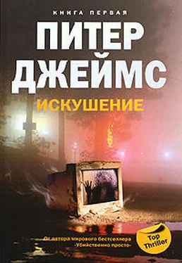 Питер Джеймс Искушение обложка книги