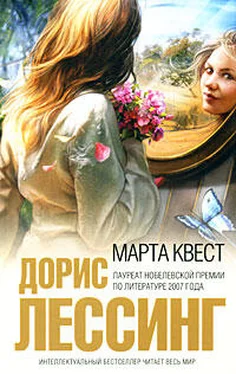 Дорис Лессинг Марта Квест обложка книги