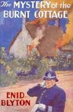 Enid Blyton Mystery #01 — The Mystery of the Burnt Cottage обложка книги