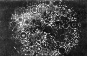 Рис 1 Фотография изображения вольфрамового острия диаметром около 150 е - фото 2