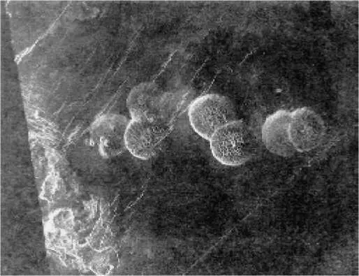 Рис 28 Семь круглых холмов диаметром около 25 км и высотой немного меньше - фото 31