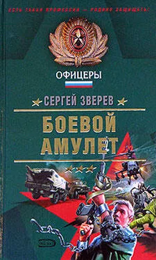 Сергей Зверев Пепел врага обложка книги