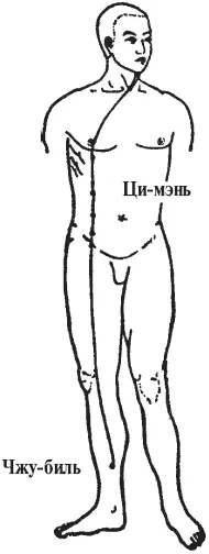Рис 20 Меридиан иньвэймай Связь между поверхностными и внутренними частями - фото 22
