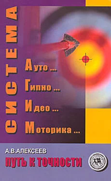 Анатолий Алексеев Система АГИМ: путь к точности обложка книги