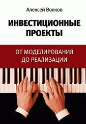 Алексей Волков - Инвестиционные проекты - от моделирования до реализации
