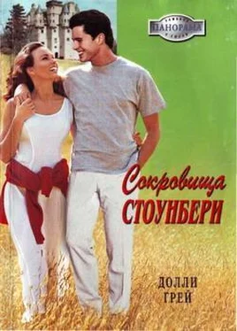 Долли Грей Сокровища Стоунбери обложка книги