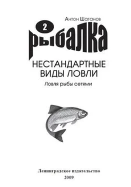 Антон Шаганов Ловля рыбы сетями обложка книги