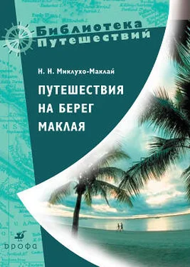 Николай Миклухо-Маклай Путешествия на берег Маклая обложка книги