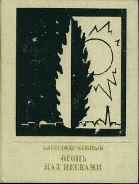 Александр Нежный Огонь над песками обложка книги