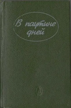 Эдна Ли В паутине дней обложка книги