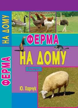 Юрий Харчук Ферма на дому обложка книги