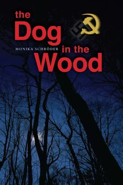 Monika Schröder The Dog in the Wood обложка книги