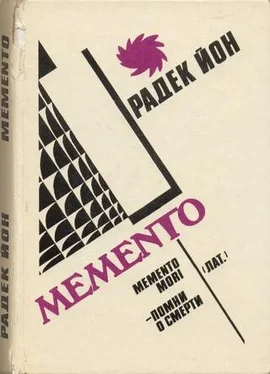 Радек Йон Memento обложка книги