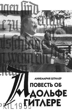 Аннемария Штилер Повесть об Адольфе Гитлере обложка книги