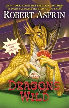 Robert Asprin Dragons Wild обложка книги