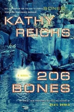 KATHY REICHS 206 BONES обложка книги