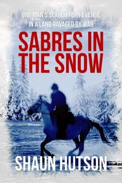 Шон Хатсон Sabres in the Snow обложка книги