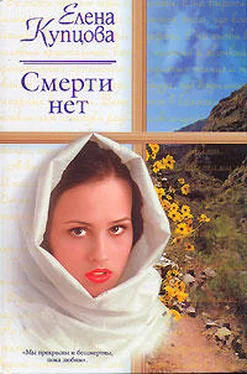 Елена Купцова Смерти нет обложка книги