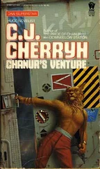 Кэролайн Черри - Выбор Шанур