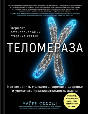 Майкл Фоссел Теломераза. Как сохранить молодость, укрепить здоровье и увеличить продолжительность жизни обложка книги