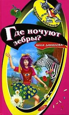 Анна Данилова Где ночуют зебры?